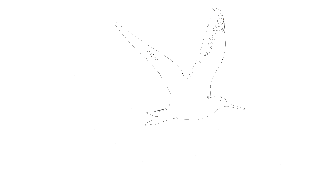 About — Delta Wind Birds